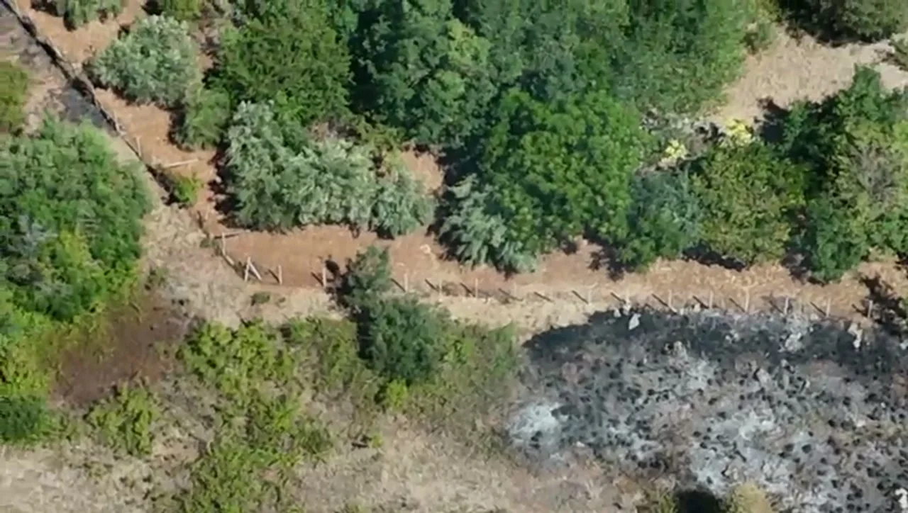 Rilievo dall&rsquo;alto di un&rsquo;area percorsa dal fuoco