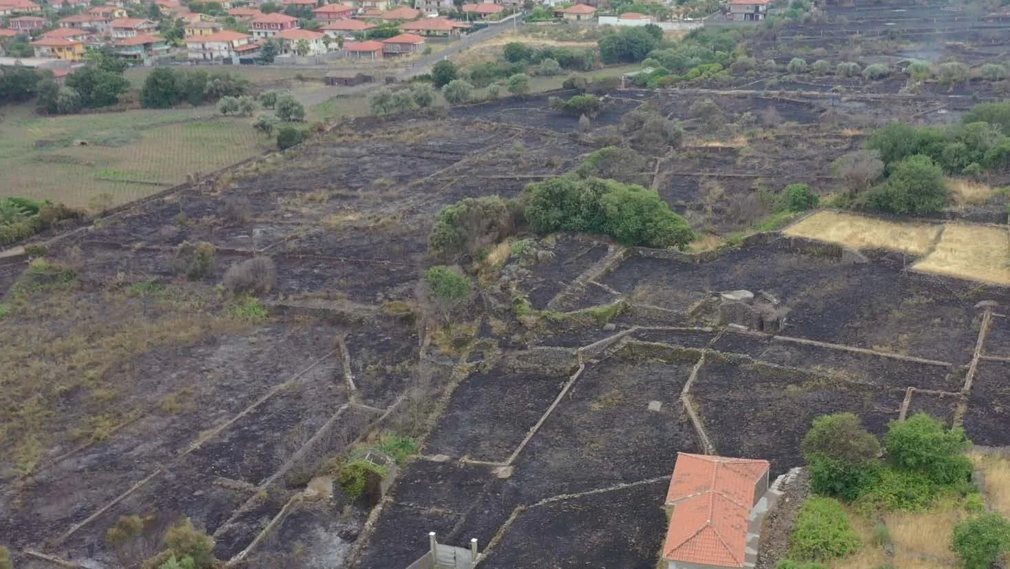 Area percorsa dal fuoco rilevata dall&rsquo;alto